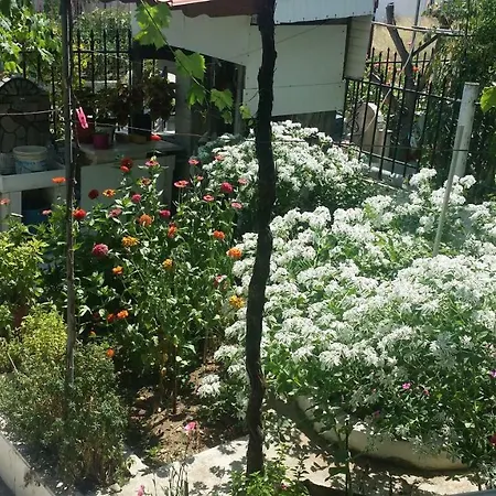 Σπίτι διακοπών Grigorios