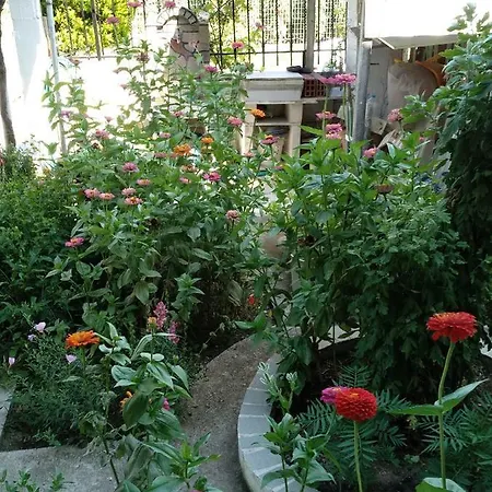 Grigorios * Βρασνά